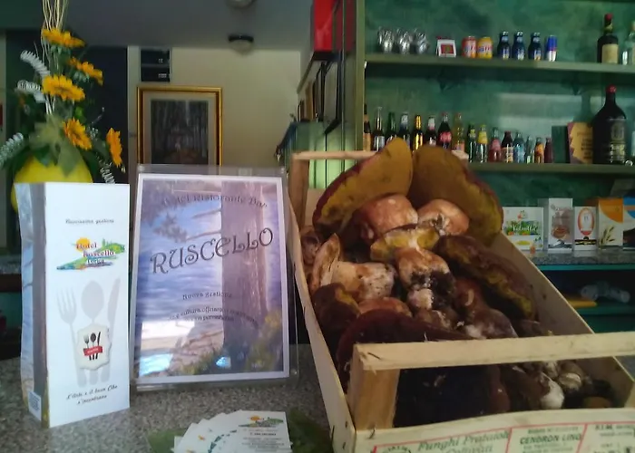 Hotel Ruscello Hotel